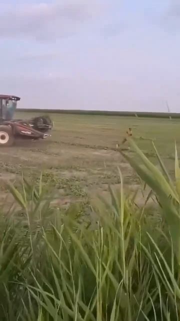 Ну, погоди!!! По украйнски 😁