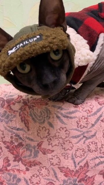 10 октября 2024 г.