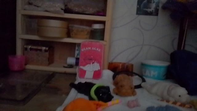 небольшой вопрос-ответ ! ❋