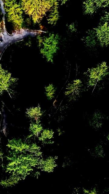 Моменты, которые удивят вас