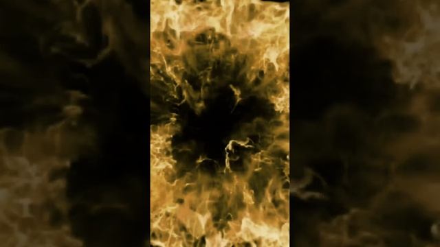 мои собственные итальянские животные