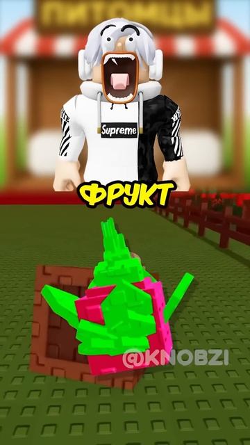 КАКИЕ СЕМЕНА НУЖНО ПОКУПАТЬ В GROW A GARDEN ? #roblox #роблокс #кнобзи #growagarden