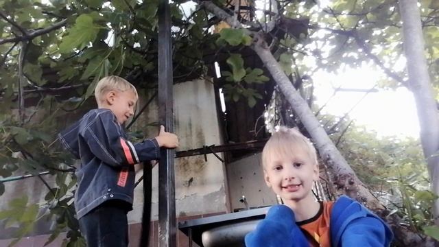 Взрывчики на раковине очень крутые и эпичные