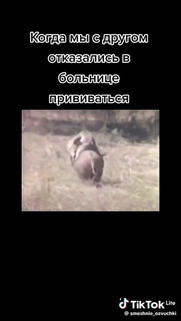 Побег от уколов
