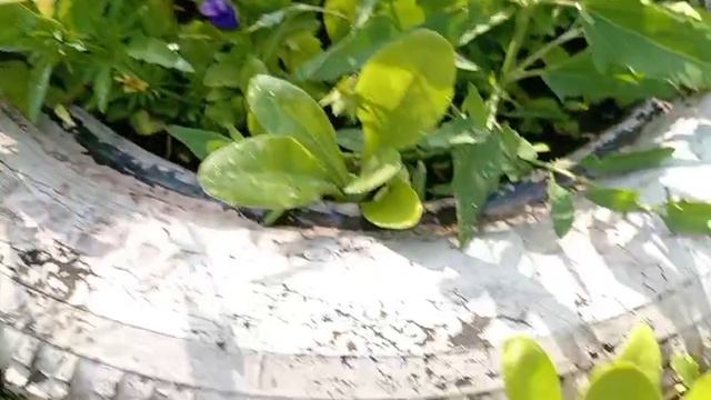 Маленький исследователь