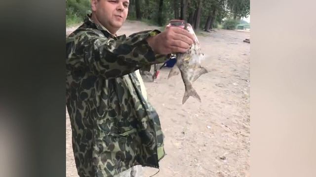 Рыбалка Обь 15.06.2025