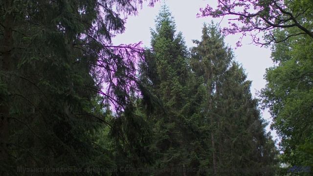 Трек, который звучит так, будто он написан для поцелуев! - Celestial Dance -- Siddhartha -- Fragment