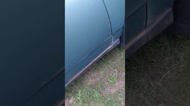 1000025625.mp4