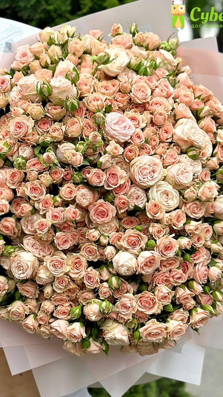 Доставка цветов| Цветы с доставкой|Cyber Flora® | Кибер Флора® - 
101 кустовая роза