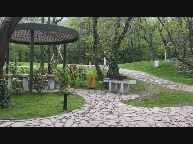 Гидропосев газона Милютинский парк Алупка