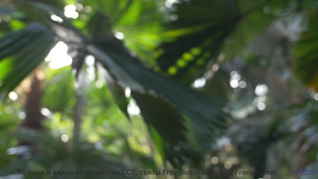 Звуки, заряжающие ваш телефон - миф или реальность - Lost Yrself -- Ryan Andersen -- MORE