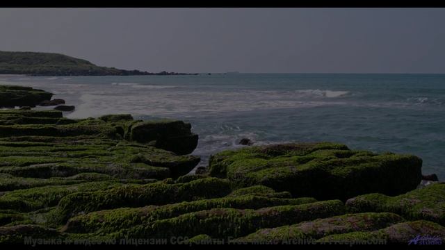 Пейзажи и музыка вместе дарят личный космос - Operatic -- New Millennium String Ensemble -- NMSE 2