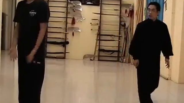 Хай Ян Учение Сян син шу в стиле Сюэ Дянь