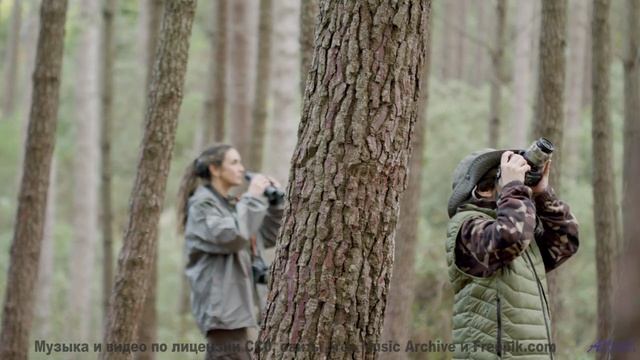 Эта композиция создана колебаниями мультивселенной - услышьте бесконечность! - Penthouse -- SUPERARE