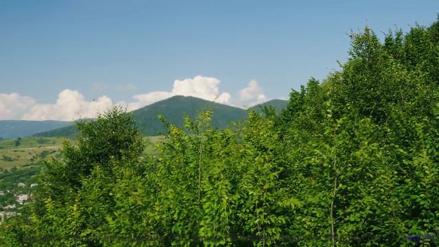 Видео, которое смотрят в параллельных вселенных - присоединяйтесь! - Vuelve a la Luz -- Silva de Ale