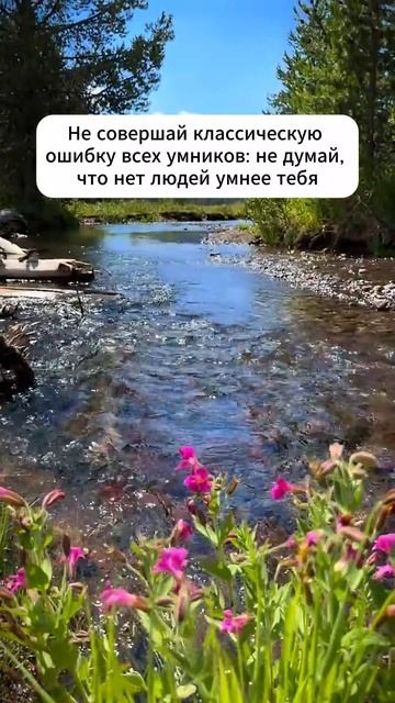 Не стой на месте, развивайся 👇 #shorts #мотивация #заработок #деньги #успех #бизнес #обучение