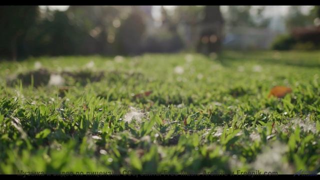 Грозовые тучи и жёсткий дроп! - Ripples -- Ketsa -- Light Rising