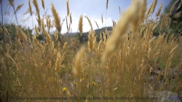 Звуки, создающие материю из пустоты - наука или магия - Secret Hopes -- Anthem of Rain -- Unnamed al