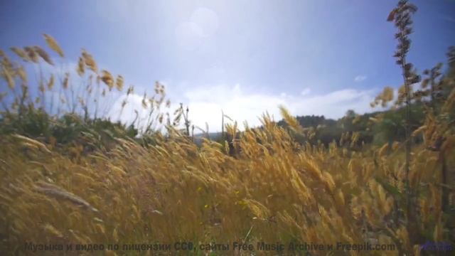 Леса поют, а сердце замирает при этом треке - I Remember -- Ranch House -- The Ranch House LP