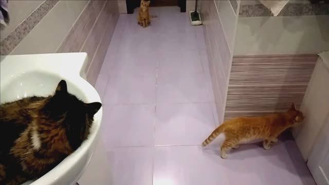 НАШИ КРОШКИ