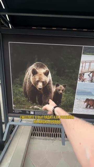 Тест: на кого ты похож на фото? 😅