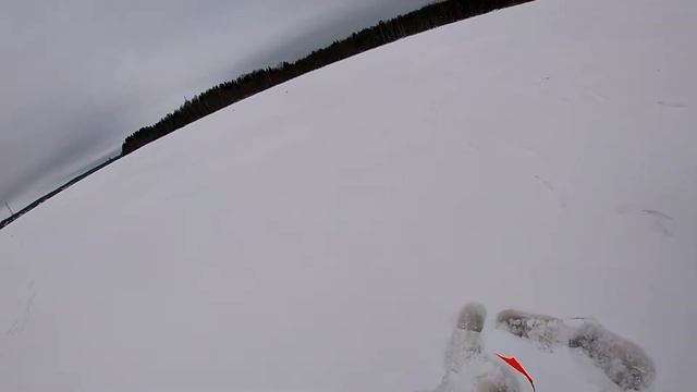 Первая рыбалка в новом году! ловля на жерлицы на Шексне!