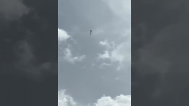 Су57 на показе в Китае .Кто-то остался в восторге от русского истребителя 5покаления .