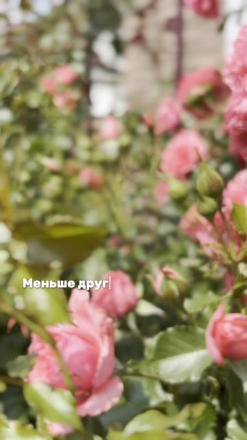 VID_20250615_145742_878.mp4