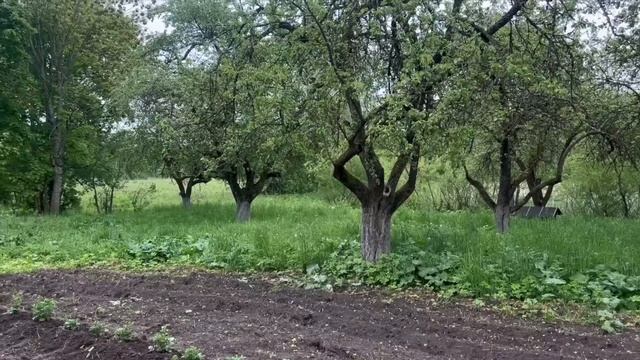 НЕУЖЕЛИ ЭТО СЛУЧИЛОСЬ!! Жена приехала на хутор и переделала всю работу #хочувдеревню #хутор