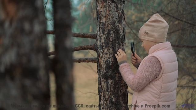 Отправляйтесь в путь под эту песню - и каждый момент станет особенным! - Positive and Fun -- Scott H