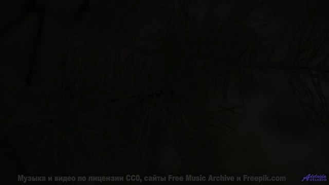 Что будет, если показать это видео хомяку Результат удивит! - Proud -- Derek Clegg -- Old Town Worry