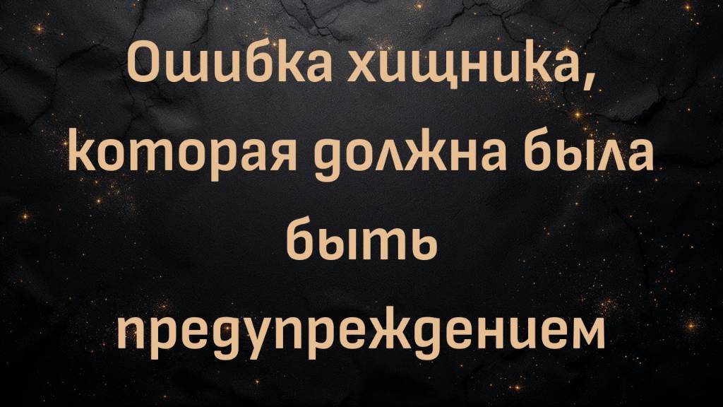 Ошибка хищника, которая должна была быть предупреждением (Дэйв Мак)