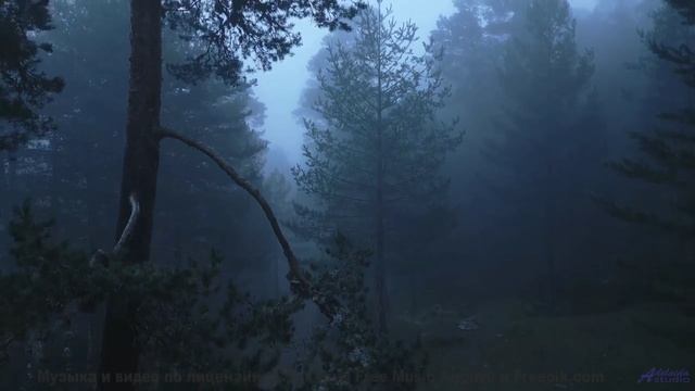 Кадры, снятые тахионной камерой - увидите будущее! - Leave Reminders -- Derek Clegg -- Random Calls