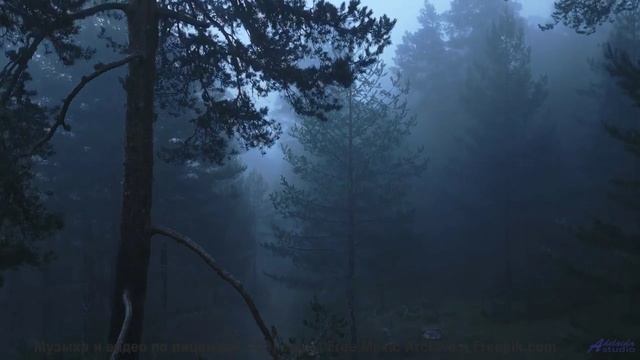Музыка и виды - от которых не оторваться - Righteous -- Ketsa -- Growth
