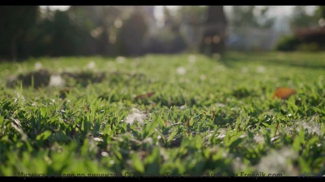 Ты НЕ ПОВЕРИШЬ, что это не голоса! - Plastic  Ferraille -- Ayato + Kecap Tuyul -- Flowers in the Tra