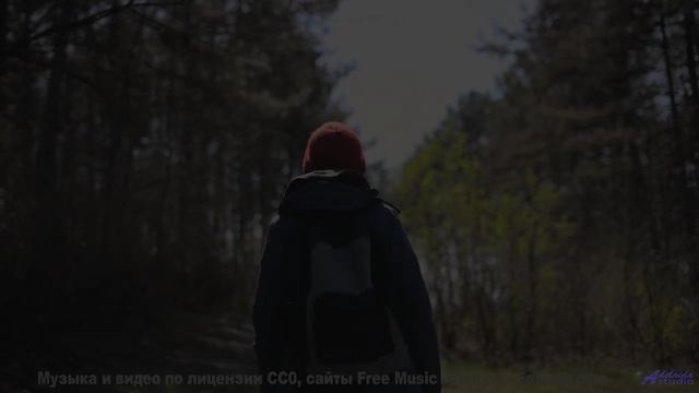 Звуки, используемые для материализации мыслей - это уже реальность! - Basic Rock -- Scott Holmes Mus