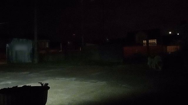 ЭП Покормил пёсика DJI_20250429131114_0726_D