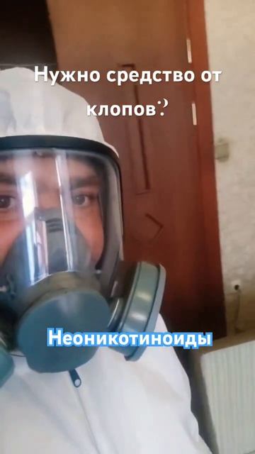 Как быстро убить клопов в постели?