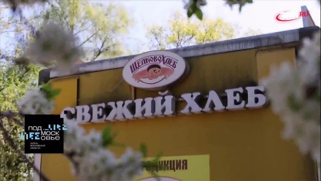 Нестационарные торговые объекты