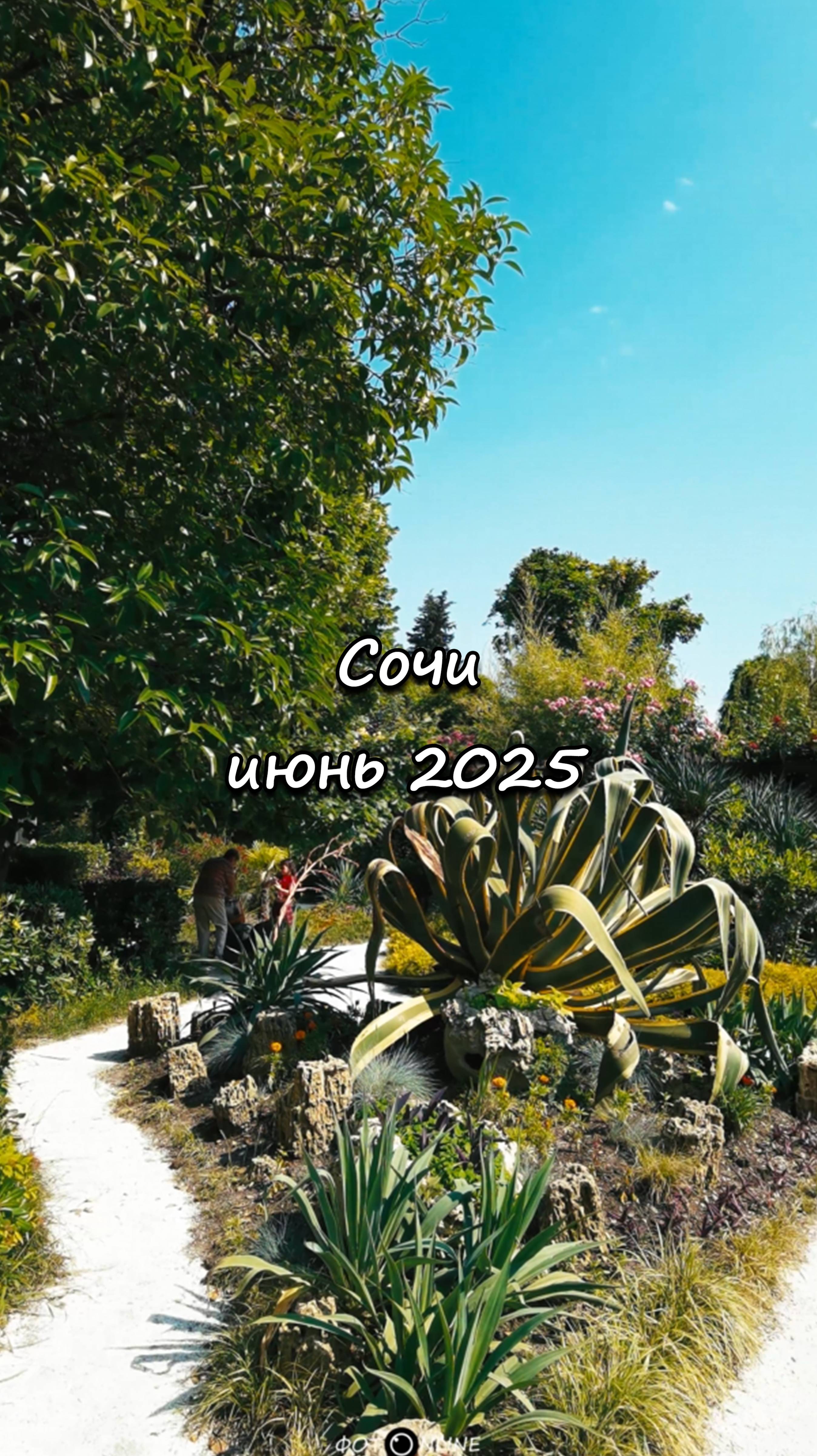 Сочи. Июнь 2025
