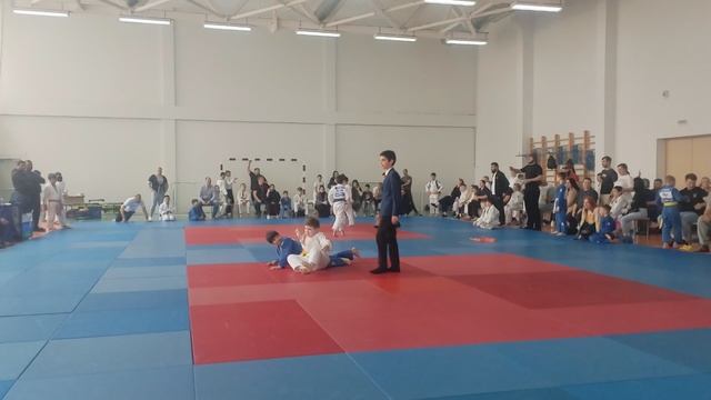 Соревнования по дзюдо г. Домодедово