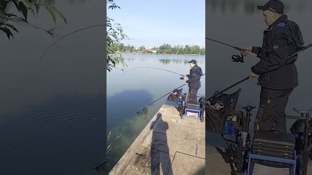 WhatsApp Video 2025-06-17 at 07.19.34