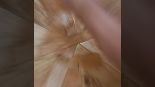 1000026760.mp4 (Собака смотрит на крепление имитации бруса внутри дома А-фрейм)