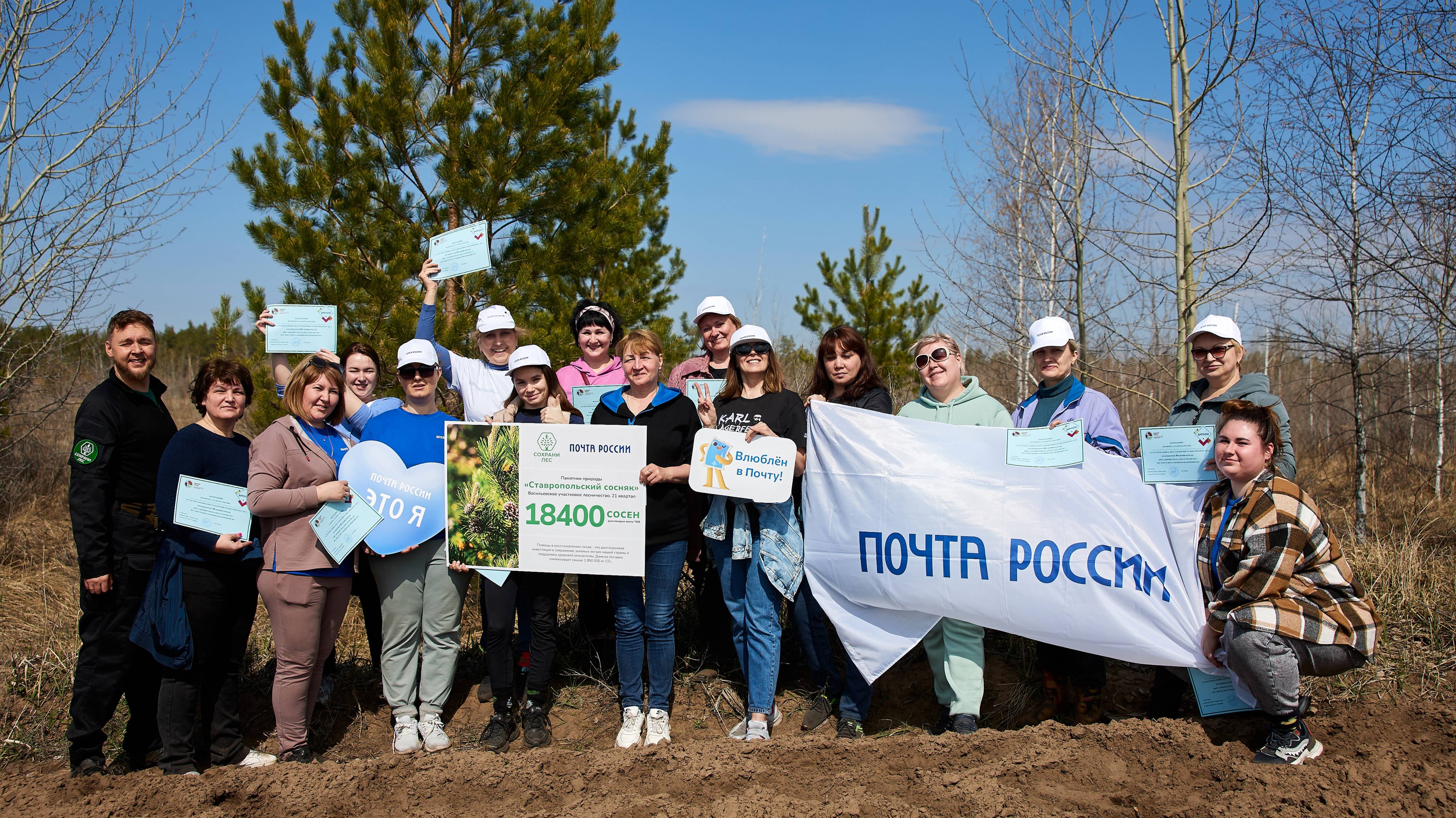 Апрель 2025 - "Почтовый лес" в Ставропольском сосняке.