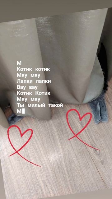 Люди у которых нет кота- НЕКОТАИ.
♥️
#религиякотизм #котолюбовь #зверьемое #рекомендации #яшкакот #э