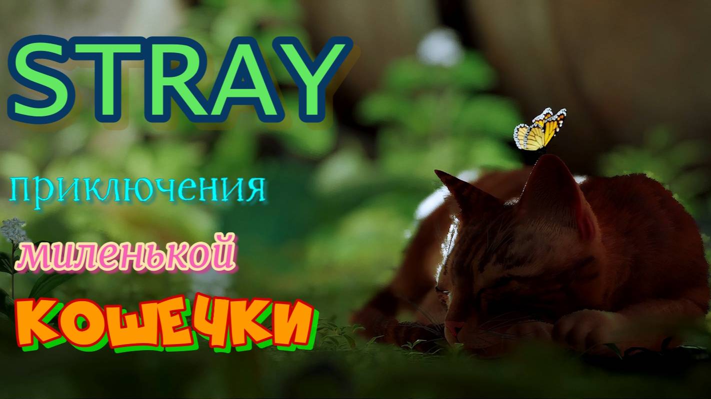 играем в STRAY, найти пароль от сейфа