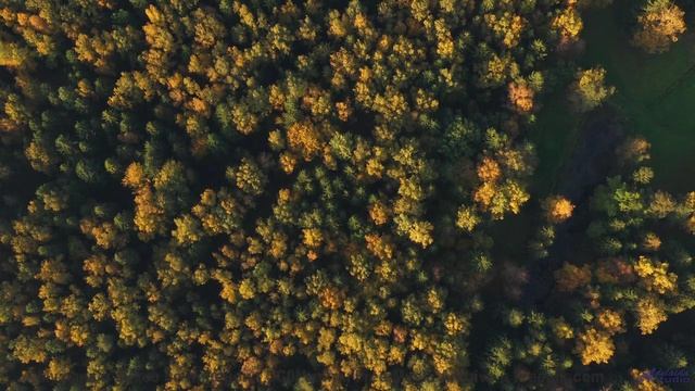 Почему этот клип вызывает непреодолимую тягу к путешествиям - Floating Up From The Cubicle -- Poding
