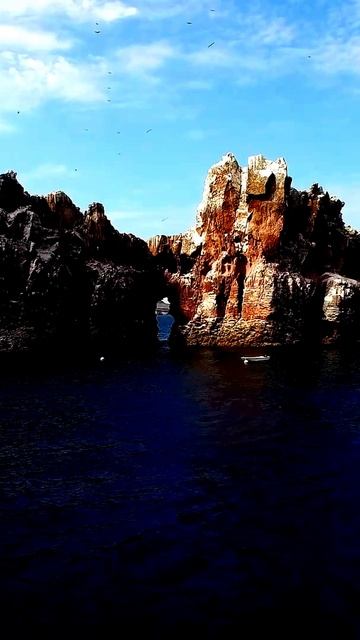 Шокирующие кадры