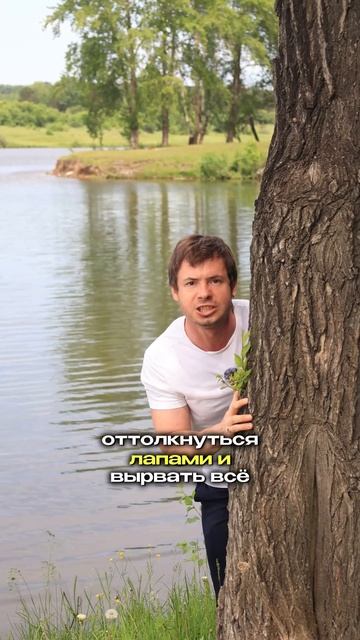 Кролики - это не только ценный мех 🐰
