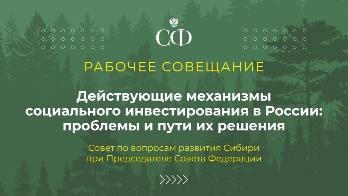 Действующие механизмы социального инвестирования в России: проблемы и пути их решения